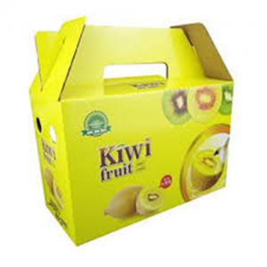 Custom Corrugated Paper Fruit packaging Carton Strawberry Box with handle